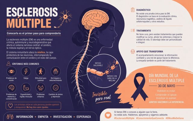 Infografía sobre Esclerosis Múltiple